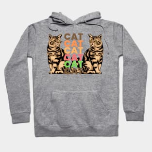 Tabby cat gold Hoodie